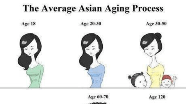 Stages of Aging Development