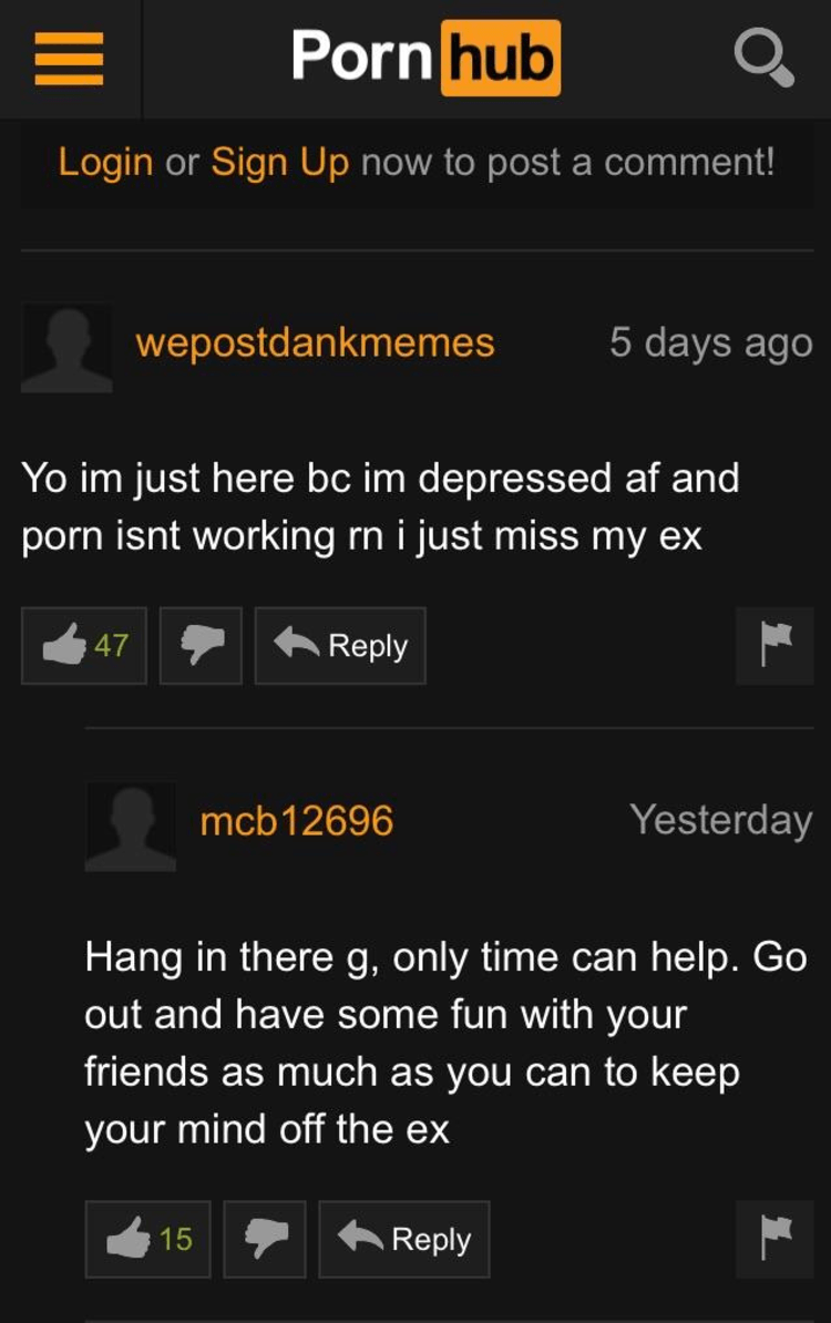 Pornhub Life